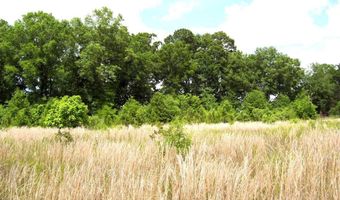 217 Lr 182, Ashdown, AR 71822