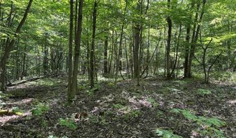 Green Road, Alfred, NY 14802