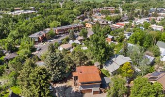 217 Longhorn Ln, Basalt, CO 81621