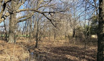 0001 CR-290, Asbury, MO 64832