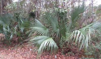 358 20th Ave, Apalachicola, FL 32320