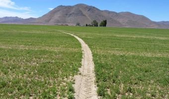 51955 Wilder Creek Rd, Denio, NV 89404