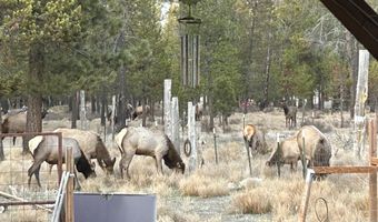 17812 Old Wood Rd, Bend, OR 97707