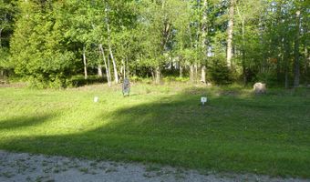 2991 Noralin Dr Lot #1, Alpena, MI 49707