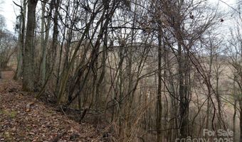 Jacks Knob Road, Barnardsville, NC 28709