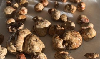 25308 NW MOUNTAIN Dr, Banks, OR 97106