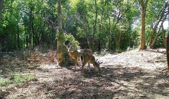 225 Stone Rd, Albertville, AL 35951