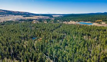 235 WILLOW Ln, Alma, CO 80440