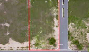 206 Tower Rd, Alamo, TX 78516