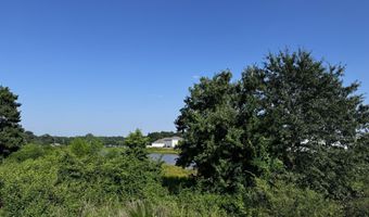 62 Thistle Patch Pl, Angier, NC 27501
