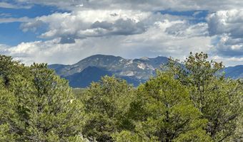 Lot 6 Nieman Road, Arroyo Hondo, NM 87513