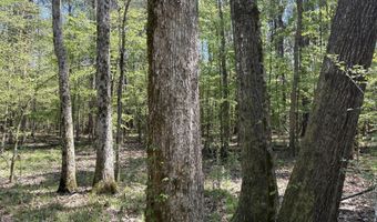 SW Auburn Drive, Bogue Chitto, MS 39629