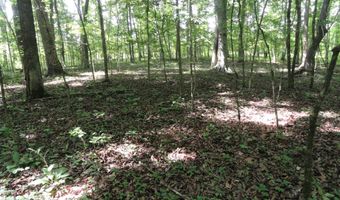 396 County Road 778, Athens, TN 37303
