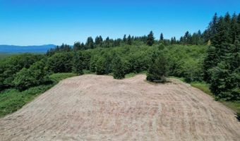 92768 PEARSON Rd, Astoria, OR 97103