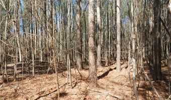 Tbd Oakland Avenue, Asheboro, NC 27205