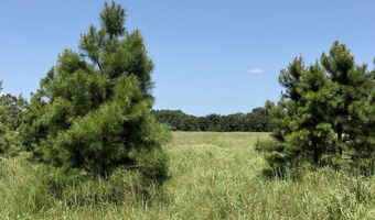 0001 E 1960 Rd, Antlers, OK 74523