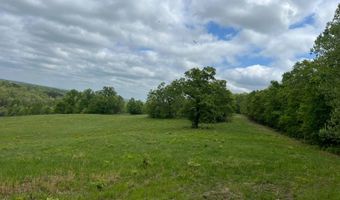 Co Rd 321 Route 5, Ava, MO 65608