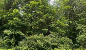 40 Acres The Grade, Amasa, MI 49920