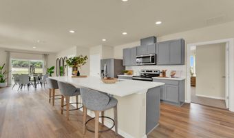 5226 Scrub Mint Ln, Apopka, FL 32712