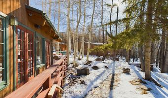 209 E Reds Rd, Aspen, CO 81611