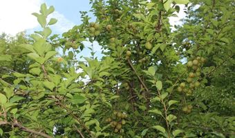 4477 104th Ave, Allegan, MI 49010