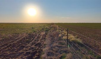 5428 CR 364, Anson, TX 79501