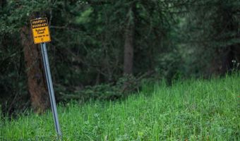 250 Pete's Way, Big Sky, MT 59730