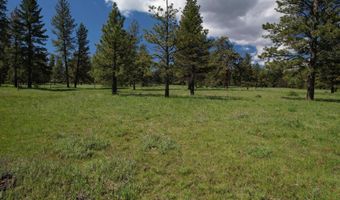 NKA Cloverland Road, Asotin, WA 99402