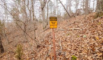 County Road 19-A, Alton, MO 65606