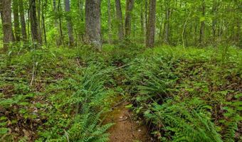 0 Worley Rd, Ball Ground, GA 30107