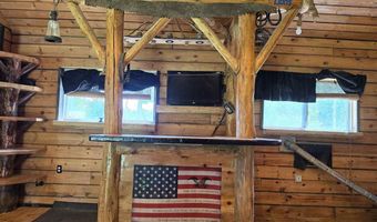 7028 Barney Rd, Alanson, MI 49706