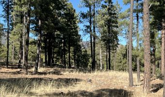 Lot C County Road N2147, Alpine, AZ 85920