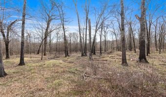 000 Hwy 105, Atkins, AR 72823