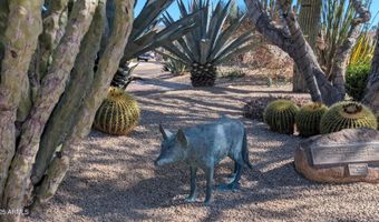 37222 N TOM DARLINGTON Dr 1, Carefree, AZ 85377