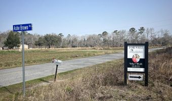 0 Ashe Brown Rd, Adams Run, SC 29426