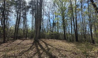 Gladys Road, Altavista, VA 24517