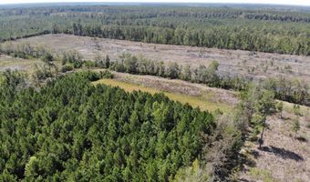 Old Buckhead Road, Bamberg, SC 29003