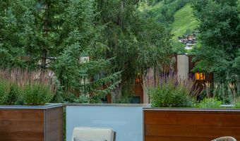 100 E Cooper Ave 11, Aspen, CO 81611