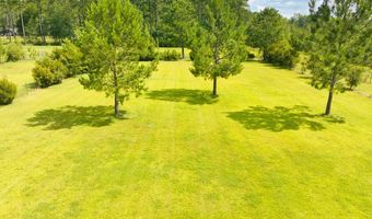 634 Alapaha River Dr, Alapaha, GA 31622