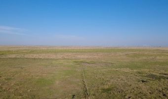 Oldham County Grass +/- 1 478, Adrian, TX 79001