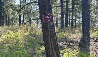 782 Hawks Meadow Dr, Bayfield, CO 81122
