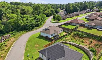 1135 J W Cv, Benton, AR 72019