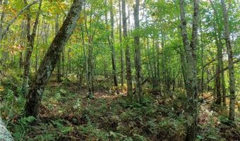Tbd Arnett Road, Banner Elk, NC 28604