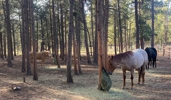 104 Six Bits St, Bailey, CO 80421