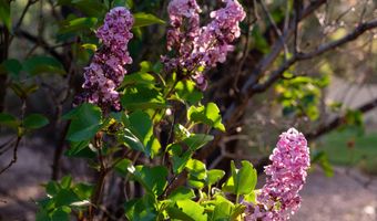 927 CAMINO VISTA RIO, Bernalillo, NM 87004