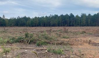 Daniels Lane lot 1-C, Bennettsville, SC 29512