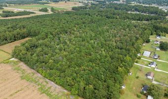 0 Pleasant Plain Rd, Ayden, NC 28513
