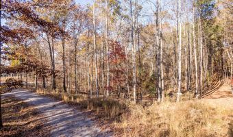 LOT 1 SUMMER HOUSE COURT, Arley, AL 35541