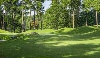 4502 Greenside Walk, Austell, GA 30106