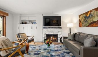 1020 E Durant Ave 301, Aspen, CO 81611